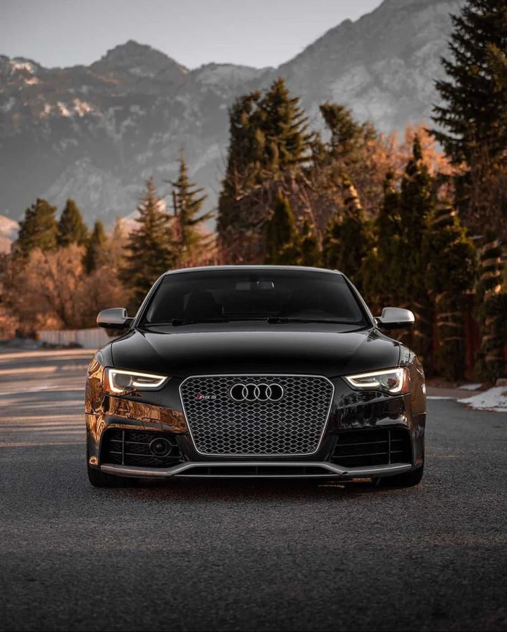 Audi RS Honeycomb Grille | B8.5 A5/S5 (2013-2016)